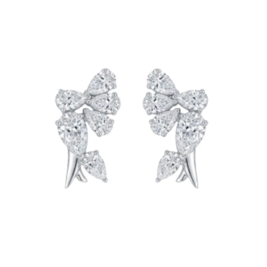 Aretes Fancy Shapes