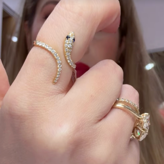 Anillo de serpiente
