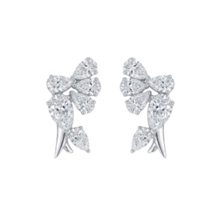 Aretes Fancy Shapes