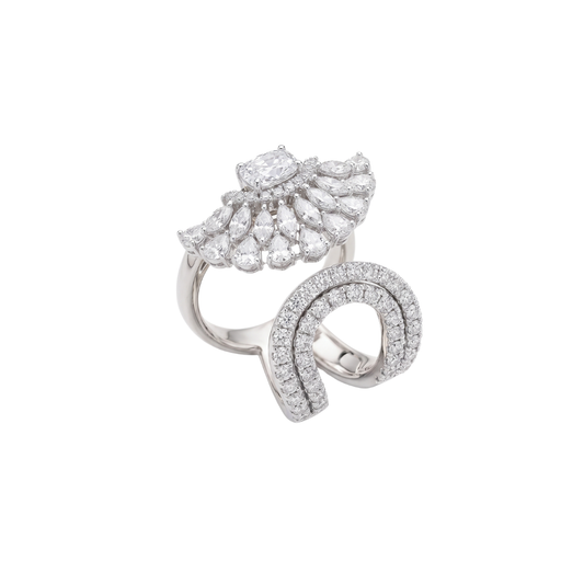 Anillo  Asimétrico