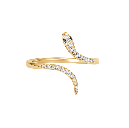 Anillo de serpiente